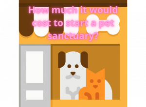 How much it would cost to start a pet sanctuary?