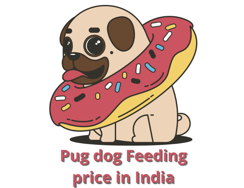 Pug dog Feeding price in India