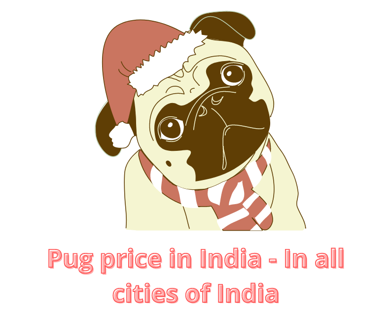 Precio del perro Pug en India