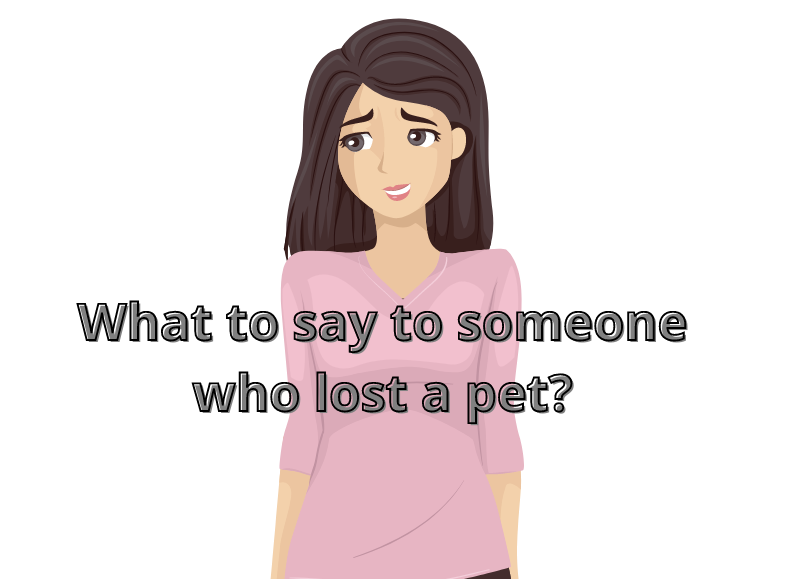 What to say to someone who lost a pet?