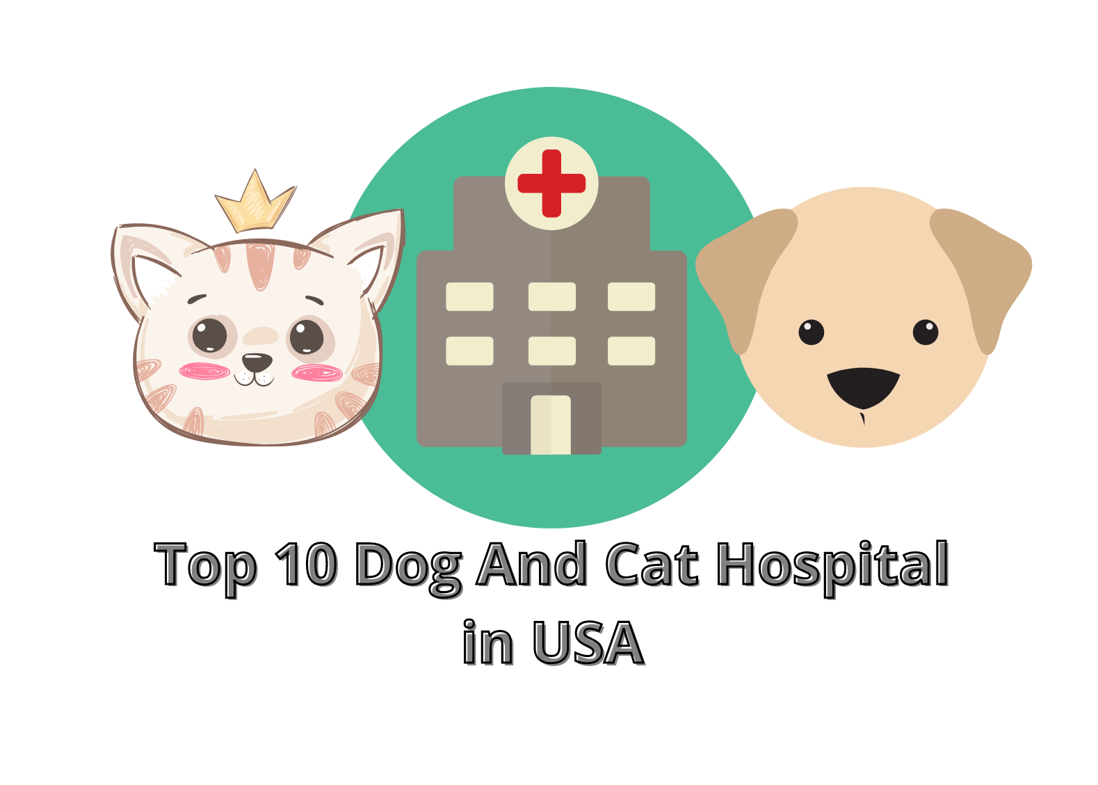 Top 10 Dog And Cat Hospital in the United States (USA)