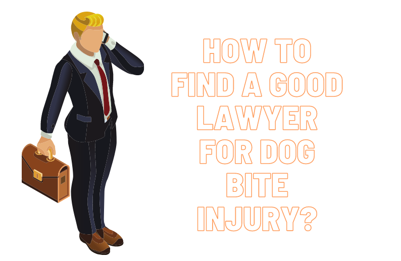 How to find a good lawyer for dog bite injury?