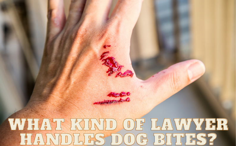 What kind of Lawyer handles dog bites?