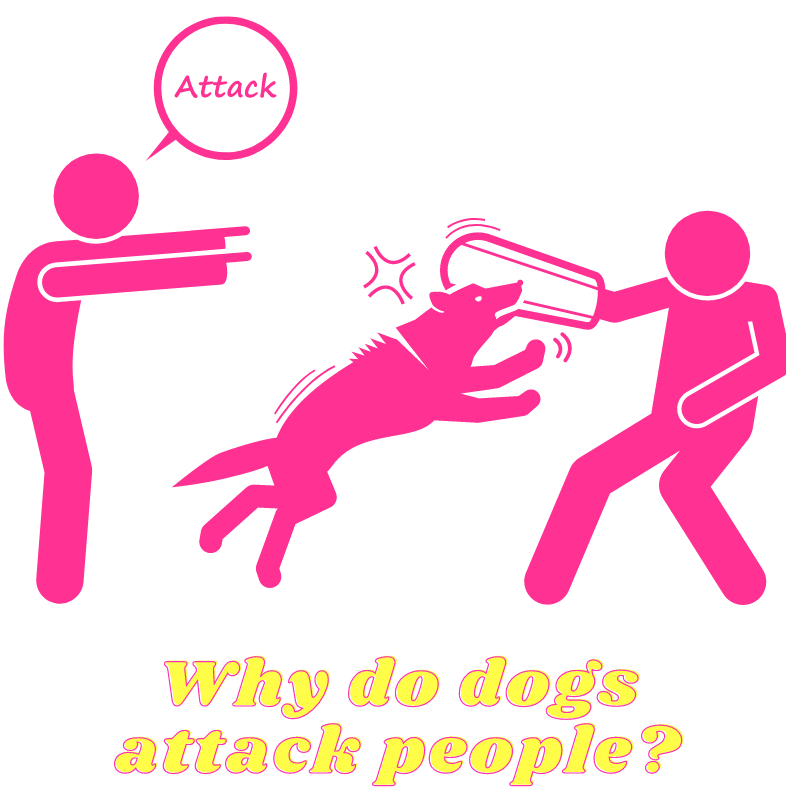 Why do dogs attack people?