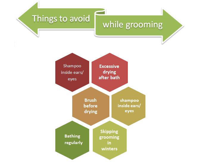 Common grooming mistake