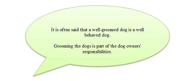 Why Grooming of Dogs is Important?