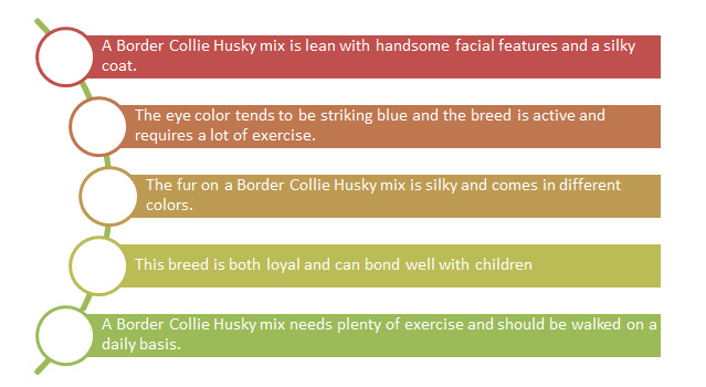 Border Collie husky mix Appearance and Characteristics