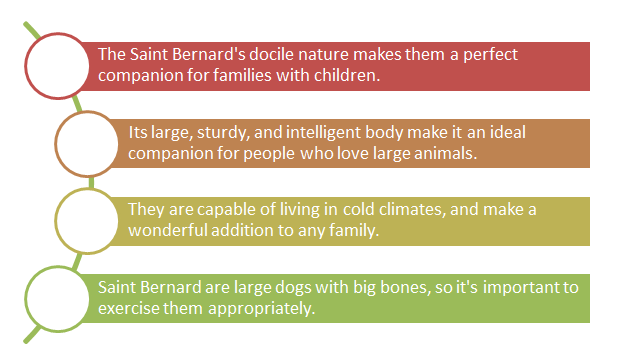 St Bernard Graph