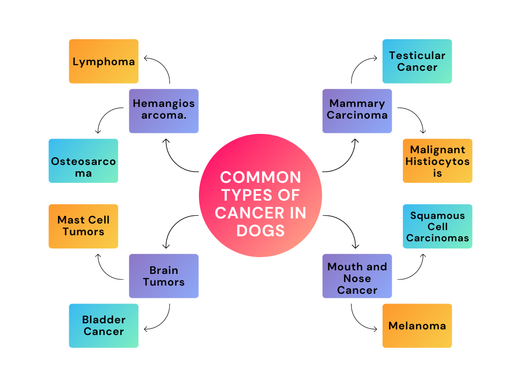 Common Types Of Cancer In Dogs