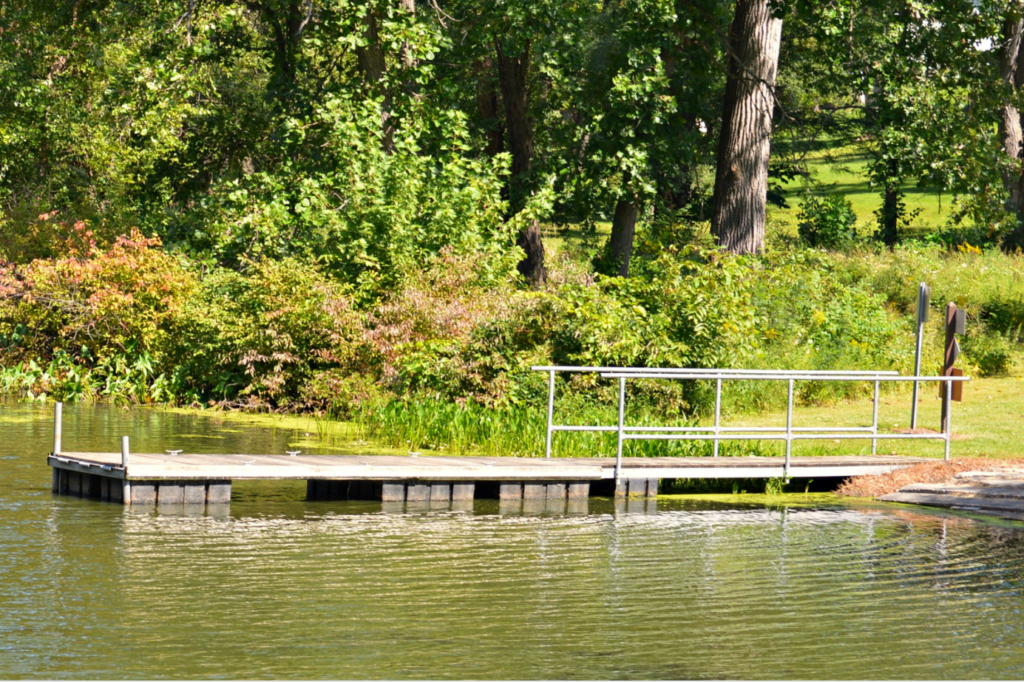 Dock Ramp for Dogs