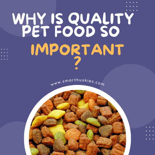 Why is quality pet food so important?