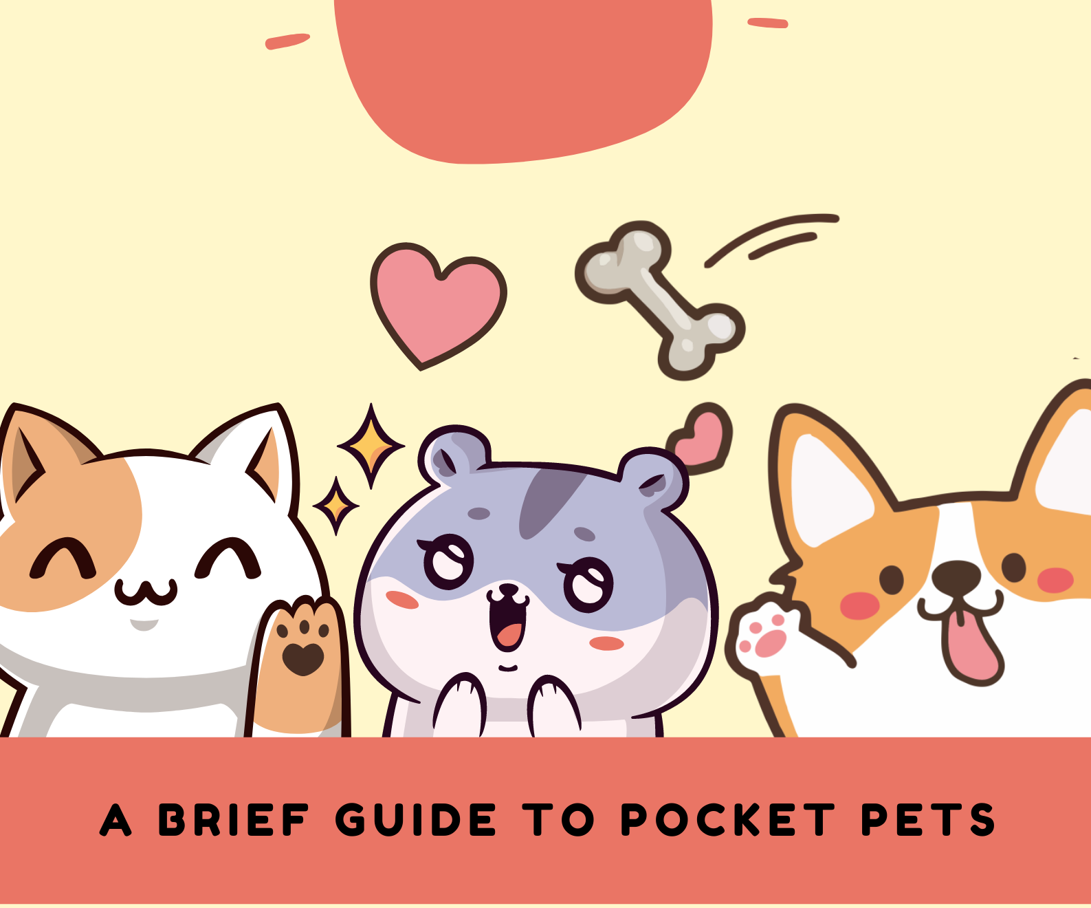 a-brief-guide-to-pocket-pets