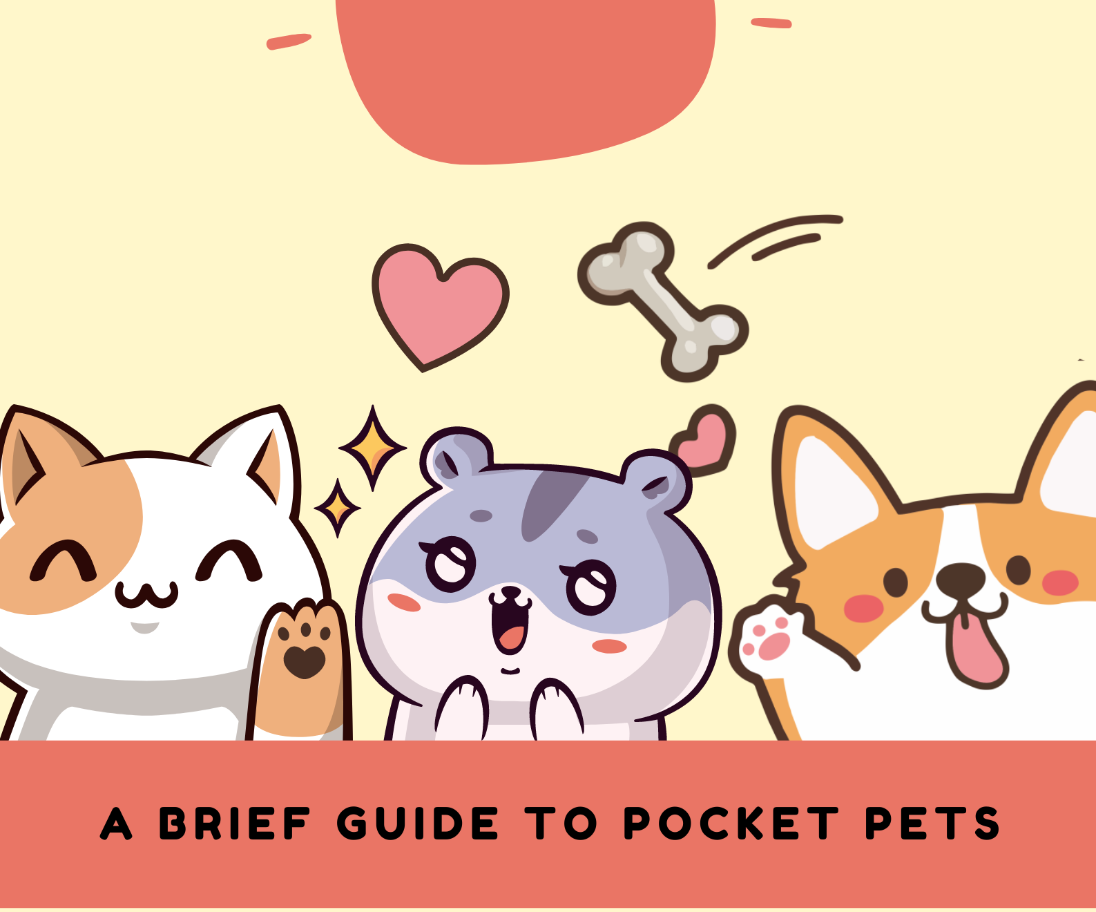 A Brief Guide To Pocket Pets